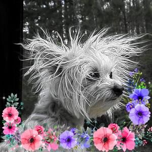 Meet your Posher, Jodi